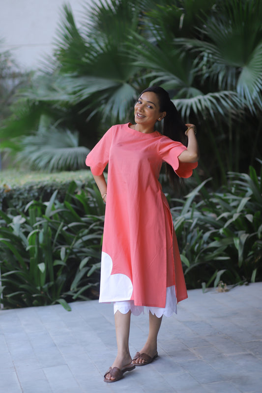 The Scallop Curve Co-ord